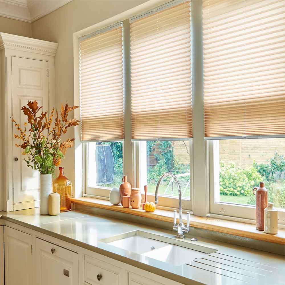 Pleated blinds in Swansea